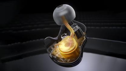 Dynamic 4 BA Hybrid IEMs FIIO JH5 Black