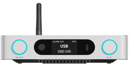 FiiO BR15 R2R High-Resolution Bluetooth Audio Receiver with 24-bit R2R DAC, LDAC/aptX Lossless, and Balanced XLR/RCA Outputs, Silver