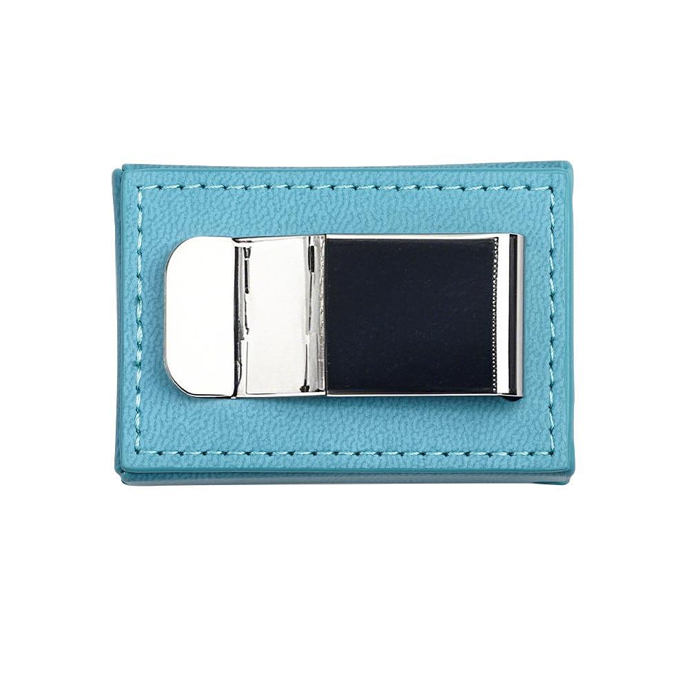 FiiO Leatherette Case for RETRO NANO – Premium PU Protection Cover with Belt Clip