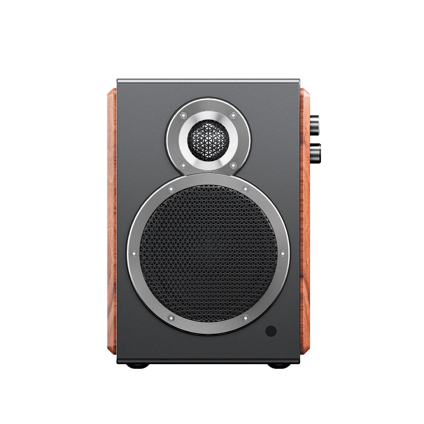 Fiio SA1 High-Fidelity Desktop Active Speaker | Bluetooth 5.4 LDAC | Phono Preamp | 31-Band PEQ EU Version
