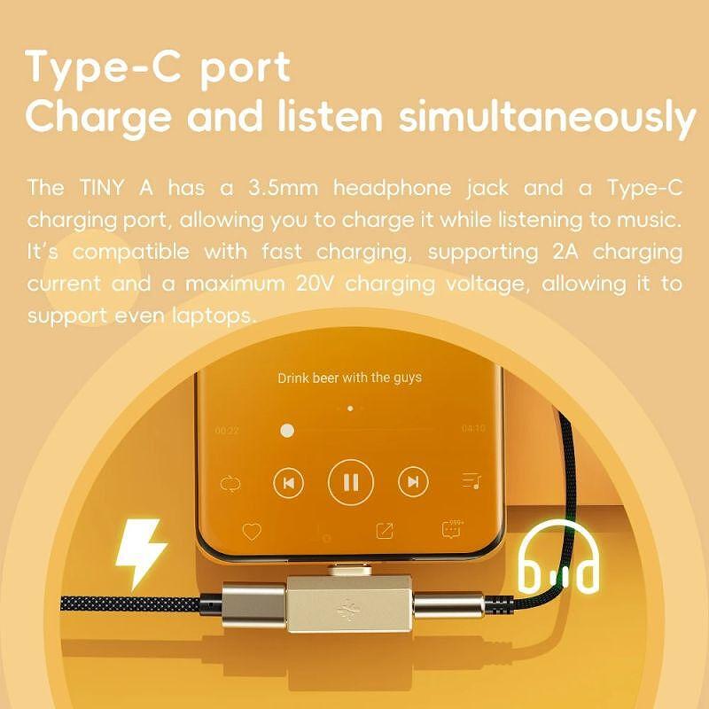 FiiO SNOWSKY TINY A BLACK – Portable USB DAC & Headphone Amplifier, 10-Band PEQ, PCM 384kHz/DSD256, 3.5mm + Type-C Charging